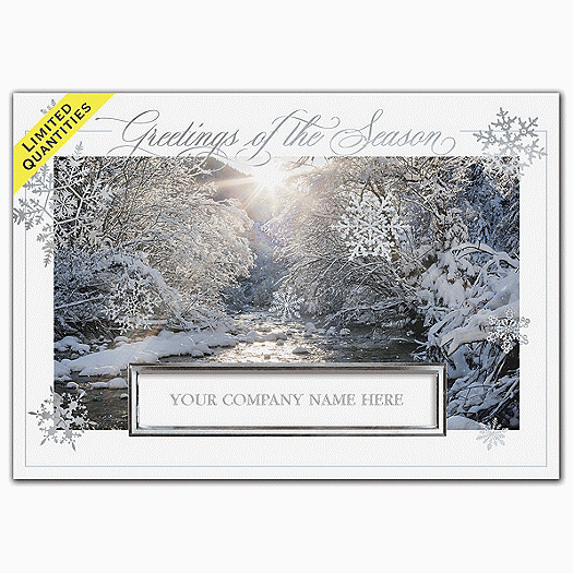 Snowflake Bliss Holiday Cards