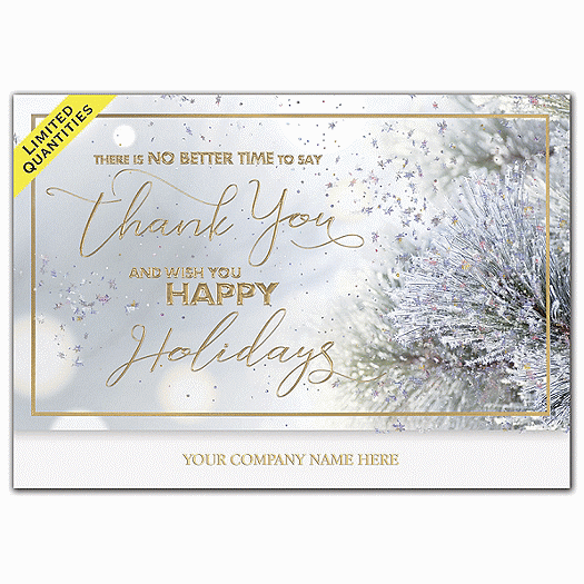 Divine Thanks Holiday Cards
