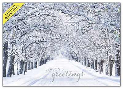 Crystal Lane Holiday Cards