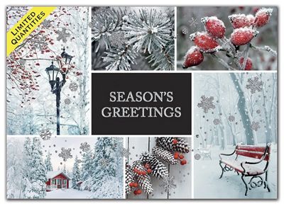 Winter Charm Holiday Cards