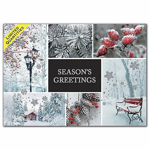 Winter Charm Holiday Cards