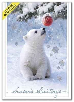 Beary Amused Holiday Cards