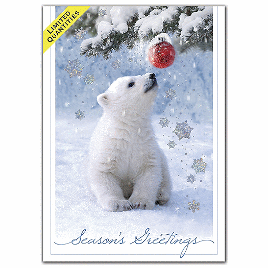 Beary Amused Holiday Cards