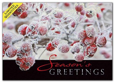 Sugar Berries Holiday Cards