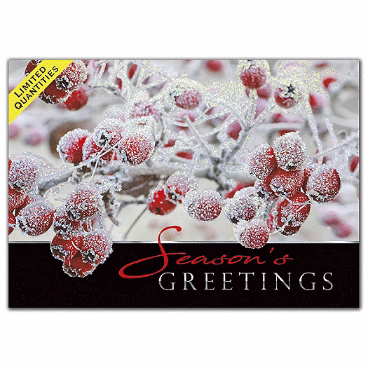 Sugar Berries Holiday Cards