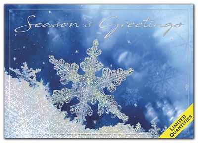 Frozen in Time Holiday Cards