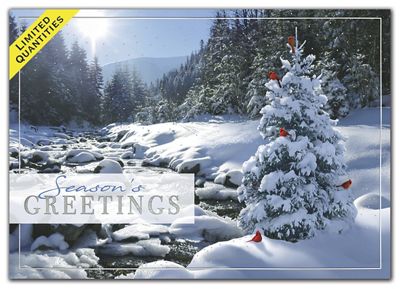 Sweet Seclusion Holiday Cards