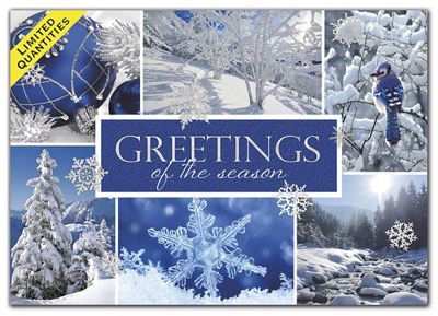 Snow Beauty Holiday Cards