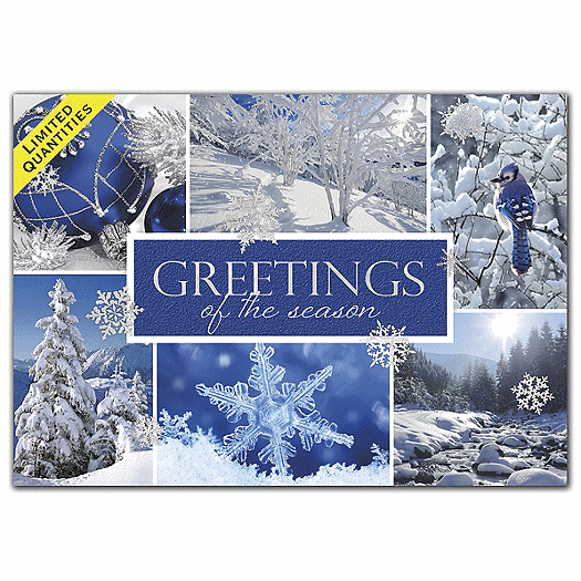 Snow Beauty Holiday Cards