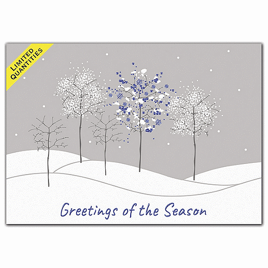 Chill Factor Holiday Cards