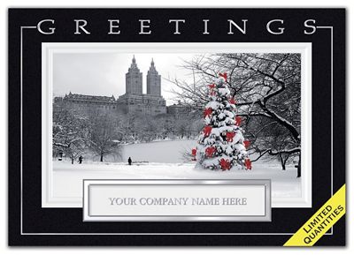 Central Park Joy Holiday Cards