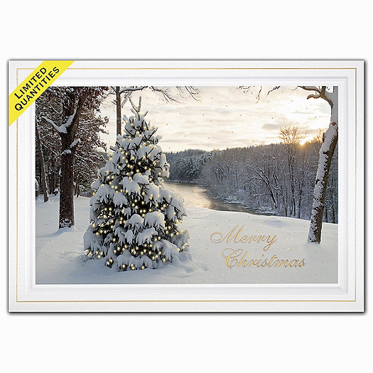At First Light Christmas Cards H15645
