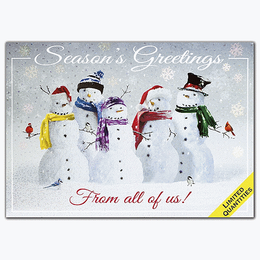 Snow Squad Holiday Cards