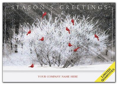 Cardinal Calling Holiday Cards