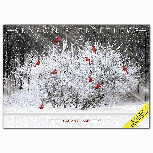 Cardinal Calling Holiday Cards