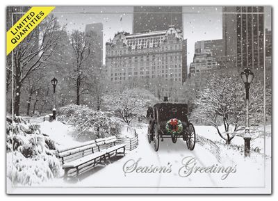 Moment in Time Holiday Cards