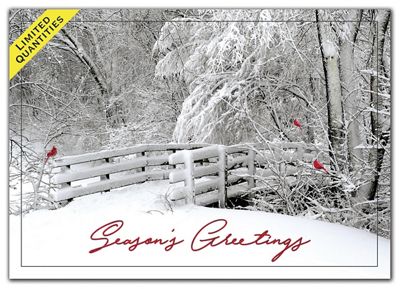 Fresh Air Holiday Cards