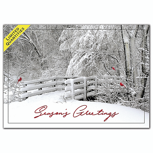 Fresh Air Holiday Cards