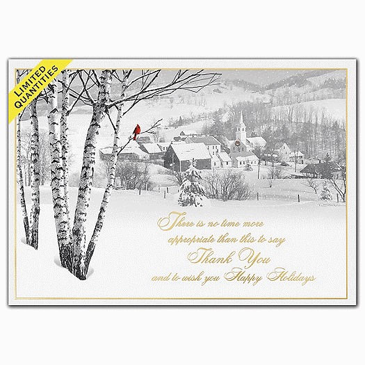 Perfect View Holiday Cards