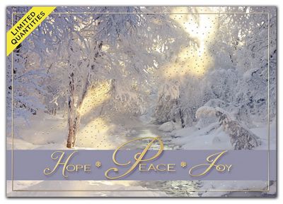 Blissful Mornings Holiday Cards