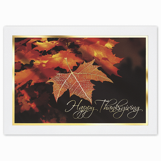 Fiery Maple Holiday Card - Office and Business Supplies Online - Ipayo.com