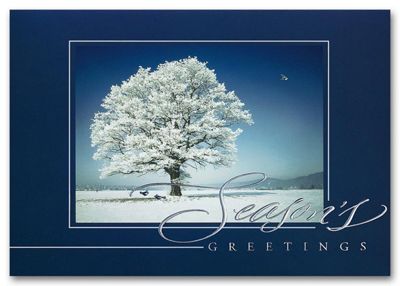 Striking Solitude Holiday Card - Office and Business Supplies Online - Ipayo.com