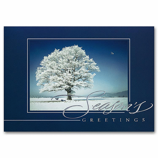 Striking Solitude Holiday Card - Office and Business Supplies Online - Ipayo.com