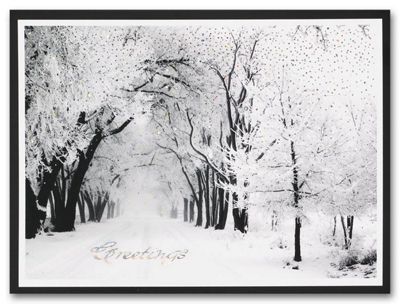 Serene Holiday Card - Office and Business Supplies Online - Ipayo.com