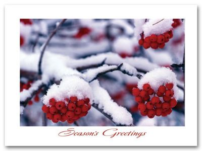 Frostberry Branches Holiday Card - Office and Business Supplies Online - Ipayo.com