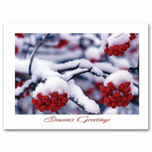 Frostberry Branches Holiday Card - Office and Business Supplies Online - Ipayo.com