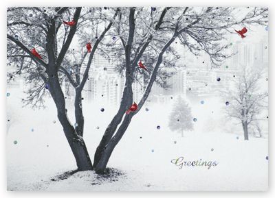 Crimson Cardinals Holiday Card - Office and Business Supplies Online - Ipayo.com