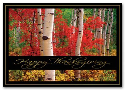 Autumn Thanks Thanksgiving Card - Office and Business Supplies Online - Ipayo.com