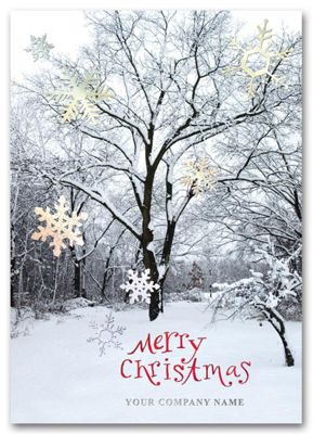 Winter Sparkle Holiday Card - Office and Business Supplies Online - Ipayo.com