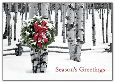 Birch Grove Holiday Cards