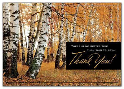 Amber Appreciation Thanksgiving Cards