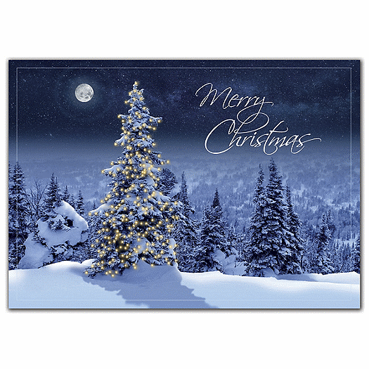 Simply Stunning Christmas Cards