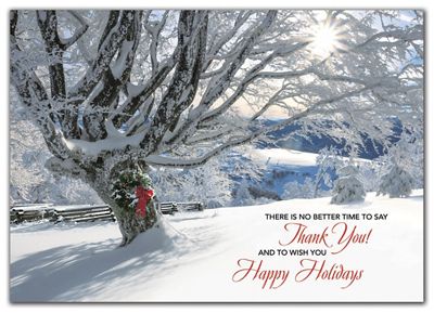 Striking Gratitude Holiday Cards