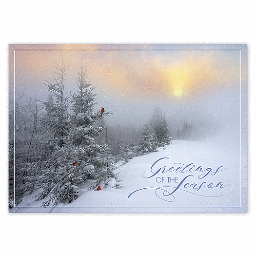 Fantastic Flurries Holiday Cards