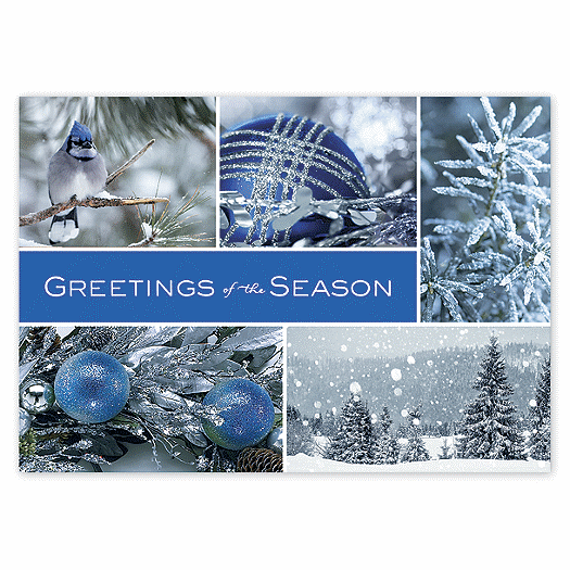 Icy Blue Wonder Holiday Cards