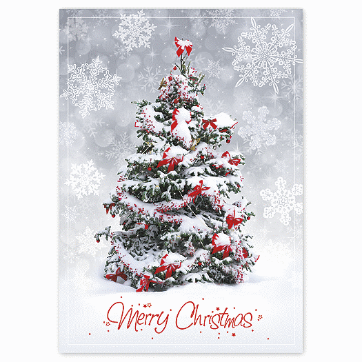 Christmas Surprise Greeting Cards