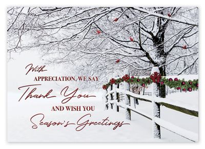 Winter Wishes Holiday Cards
