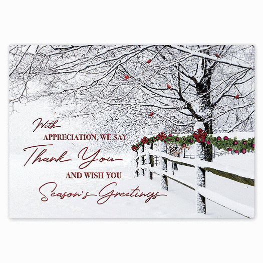 Winter Wishes Holiday Cards