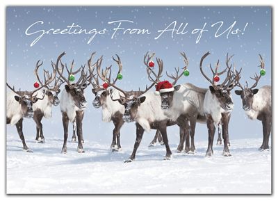 Antler Chandelier Holiday Cards