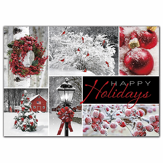 Seasonal Showcase Holiday Cards