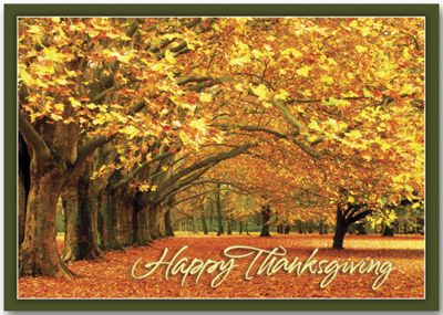 Canopy of Gold Thanksgiving Cards
