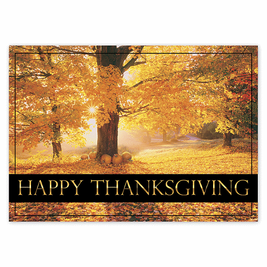 Maple Splendor Thanksgiving Cards