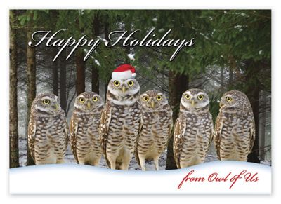 7 7/8 x 5 5/8 Owl of Us Christmas Cards
