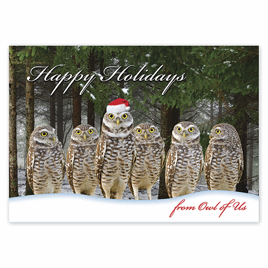Owl of Us Christmas Cards