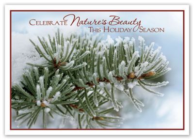 7 7/8 x 5 5/8 Celebrate Nature Recycled Paper Holiday Cards