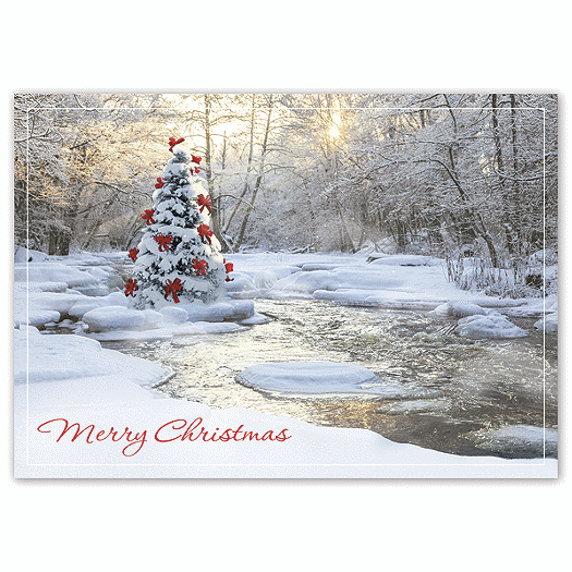 Tranquil Christmas Cards